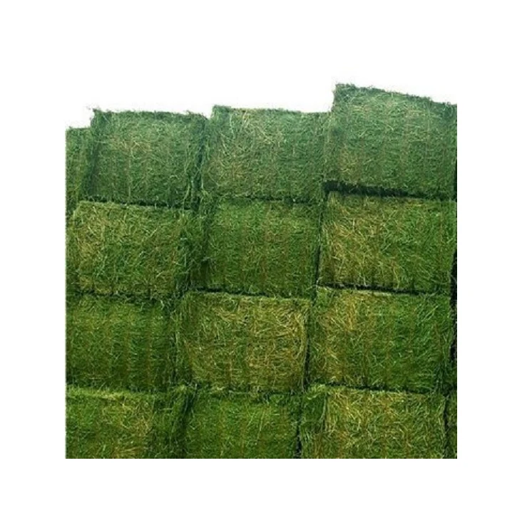 Premium Alfalfa Hay For Animal feeding