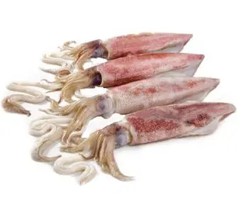 Frozen Whole Loligo Squid For Export in Bulk Quantity High Quality Frozen Loligo Squid Available in Multiple Sizes