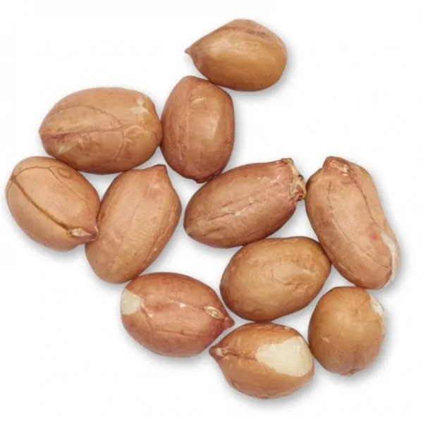 manufacturers sell peanuts kernel red skin peanut raw 100% Original Natural