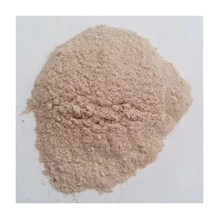 Factory Supply Alkaline Protease Enzyme Alkaline Protease High Quality