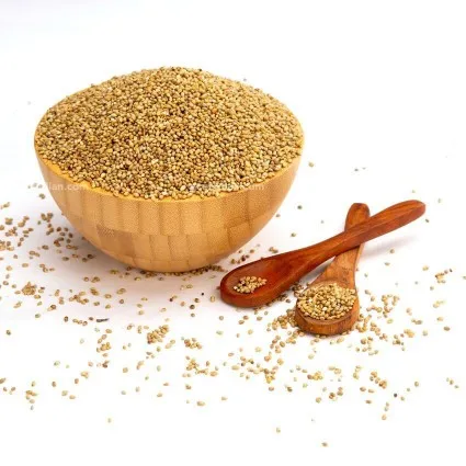 Premium quality green millet machine clean export quality maximum moisture 14% uses for best food of digestion