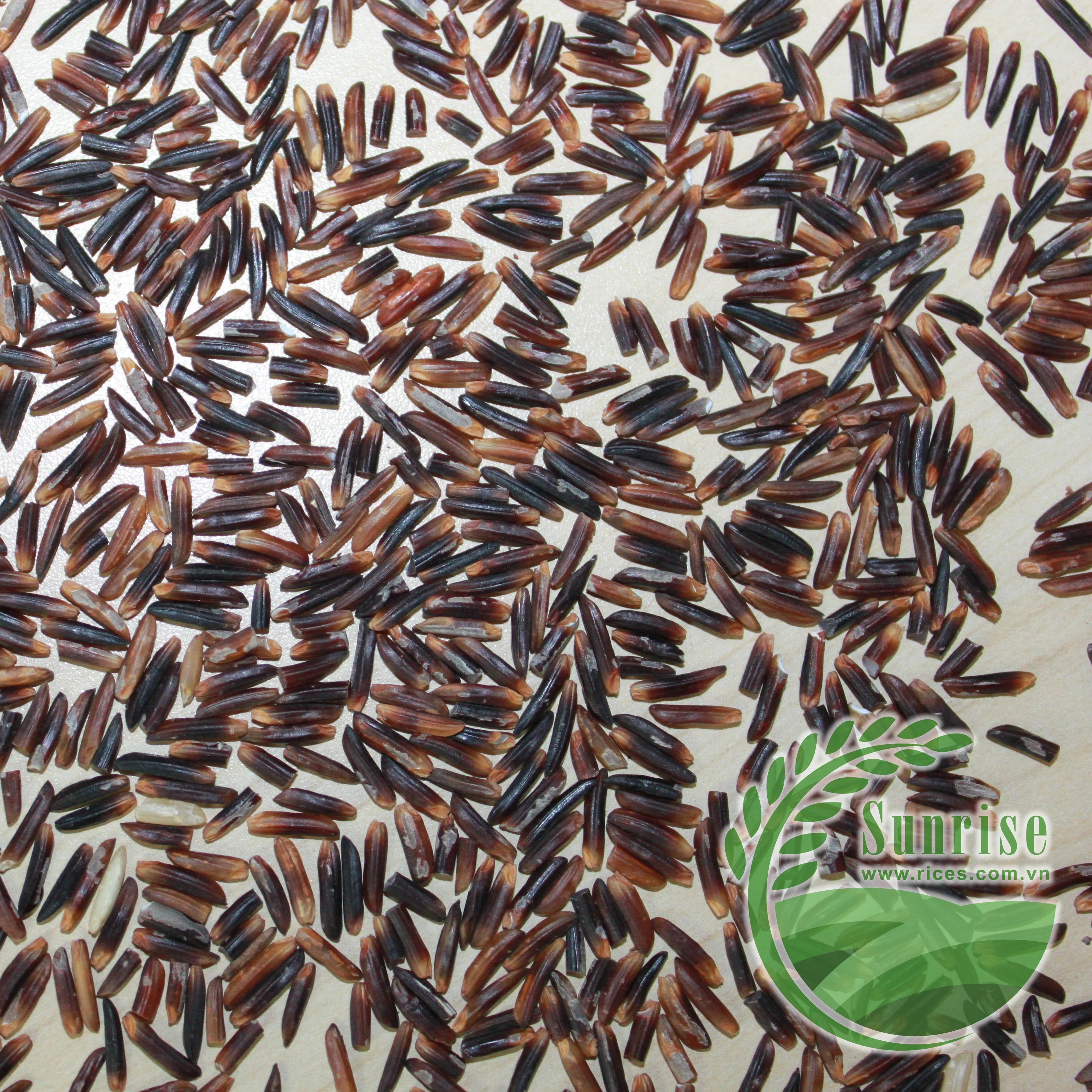 VIETNAM FINEST QUALITY ORGANIC PURPLE RICE GOOD PRICE