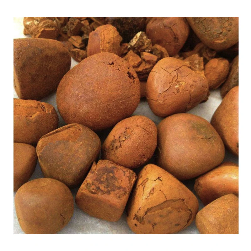 Wholesale Bovine gallstones ,ox cow gallstone, cattle gallstones