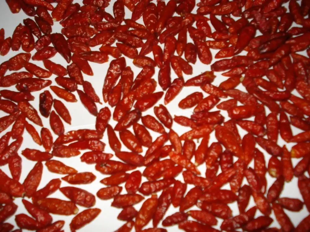 Hot Red Dried Chili Peppers Freshly Dried for Traditional Asian Cooking Box and Bag Packaging for Soups and Curry