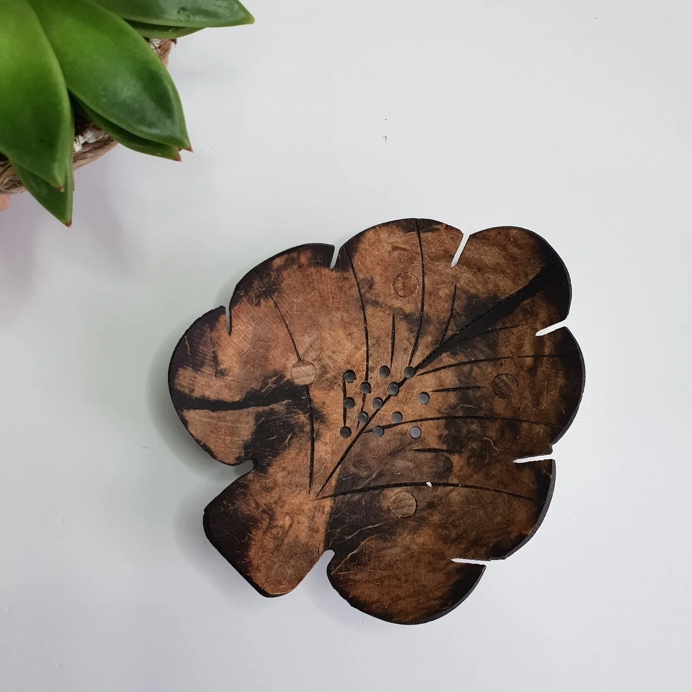 Sustainable small kids baby soaps dish handmade natural coconut shell stand holder soap bar rack for bath room decor