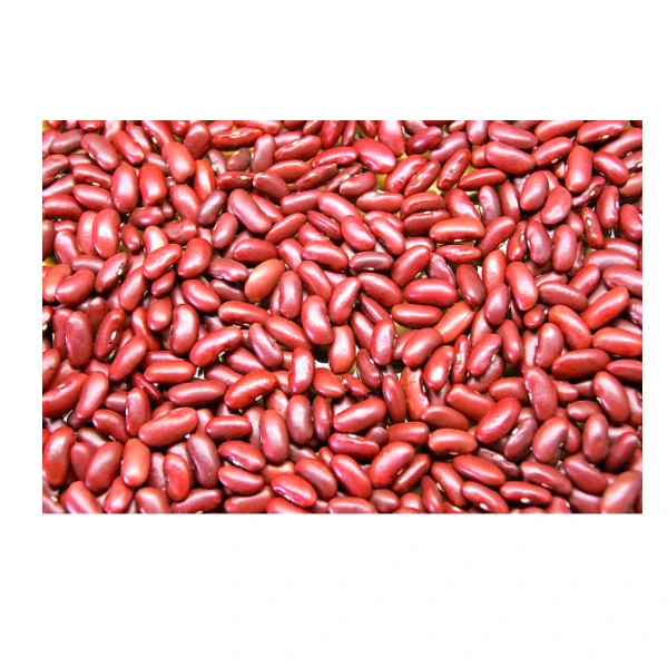 Kidney beans, Black, Red White kidney beans available