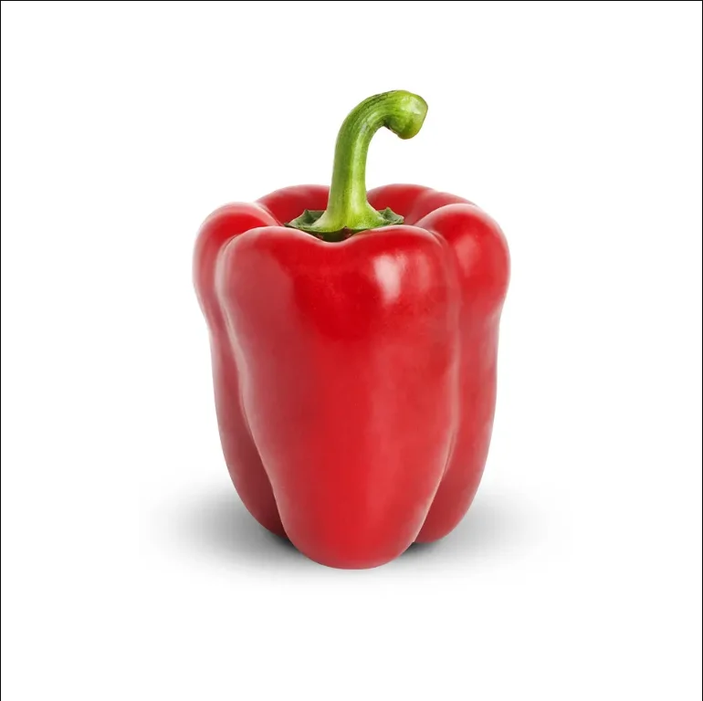 New crop fresh capsicum Chinese colored capsicum fresh green red yellow bell pepper