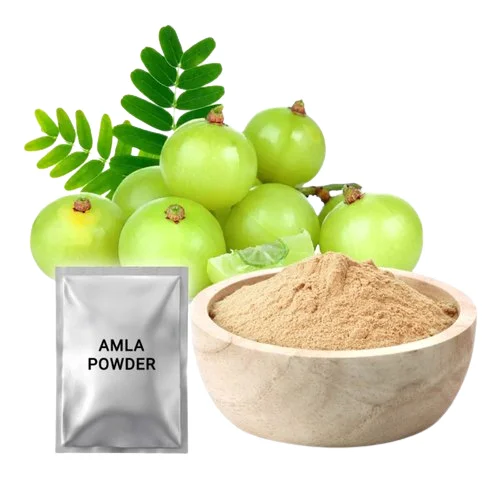 100% Pure Amla Fruit Powder Skin Hair Multi-Type Uses Moisturizing Hair Conditioner Manufactured India Low Prices-Wholesale Sale