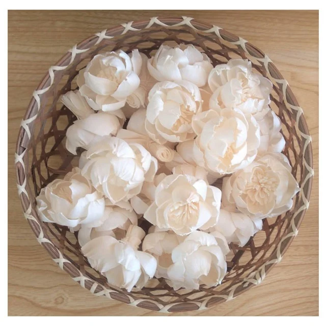 Peony with Pollen Sola Wood Flowers Artificial Dried Wholesale Handicraft Home Decor Decoration Thailand Reed Diffuser