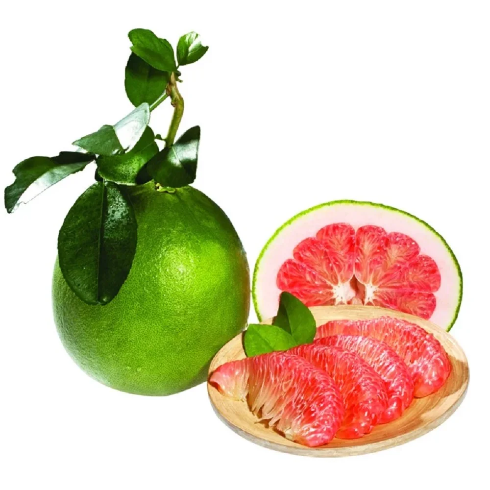 Fresh Citrus Fruit Green skin pomelo grapefruit With pink flesh Brix 10 - 13% From Vietnam cheap