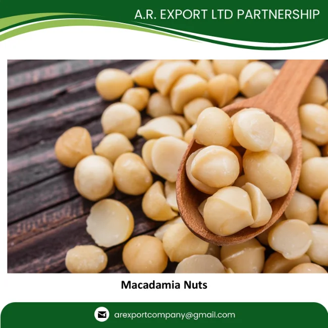 Macadamia Nuts, Roasted Macadamia, Organic Macadamia Nuts Available in Huge Quantity with Export Grade AA Packaging