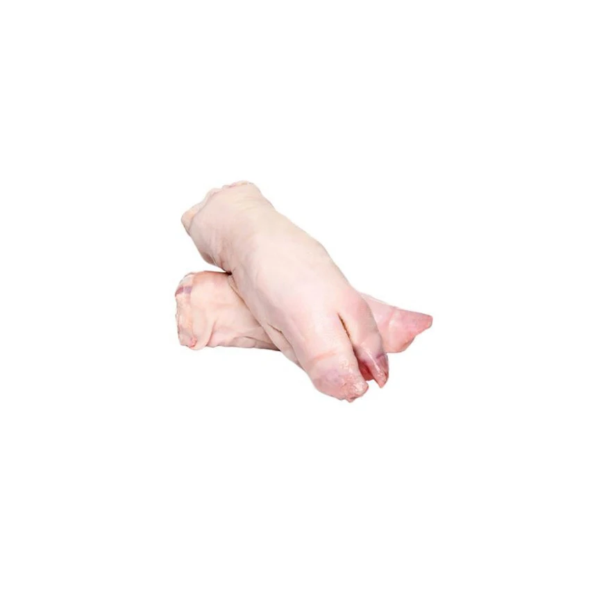 Wholesale High Quality Products Mussels Supply Poultry Meat Sale Pig Frozen Pork Front Feet In Brazil Frozen Pork Front Feet