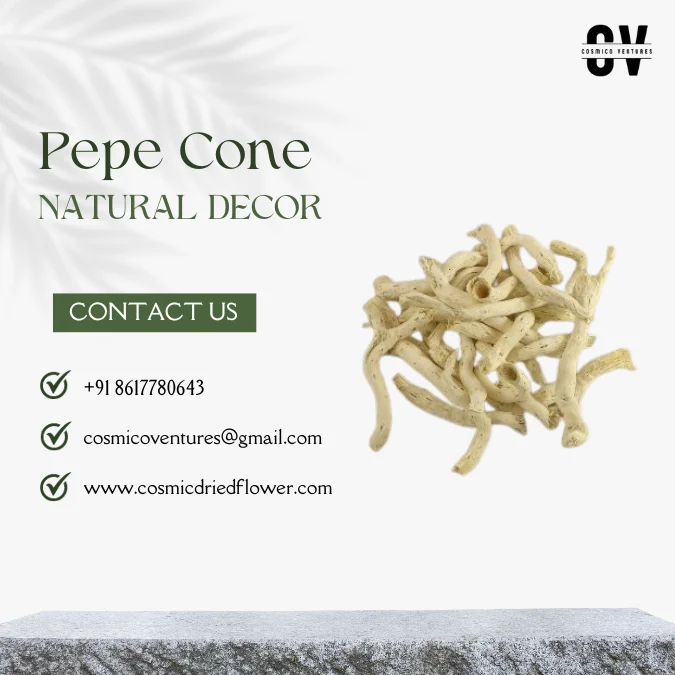 High Quality Wholesale Natural Pepe Cone for Potpourri, DIY, Events Decor & Other Dried Flower Decor