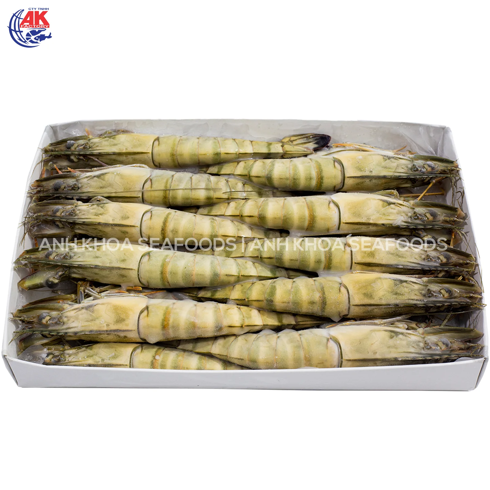 Best Price Seafood Supplier BT/HOSO Fresh Black Tiger Shrimp Head On Shell On With Custom Weight Order Origin From Vietnam