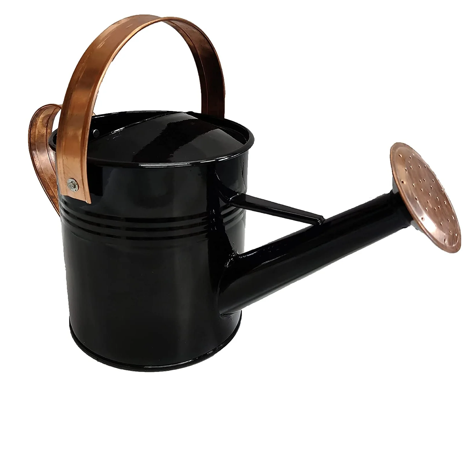 Aluminum Watering Cane Silver Finishing Hot Selling Home And Garden Use  Water Planter Jug Canes Modern Design Best Quality