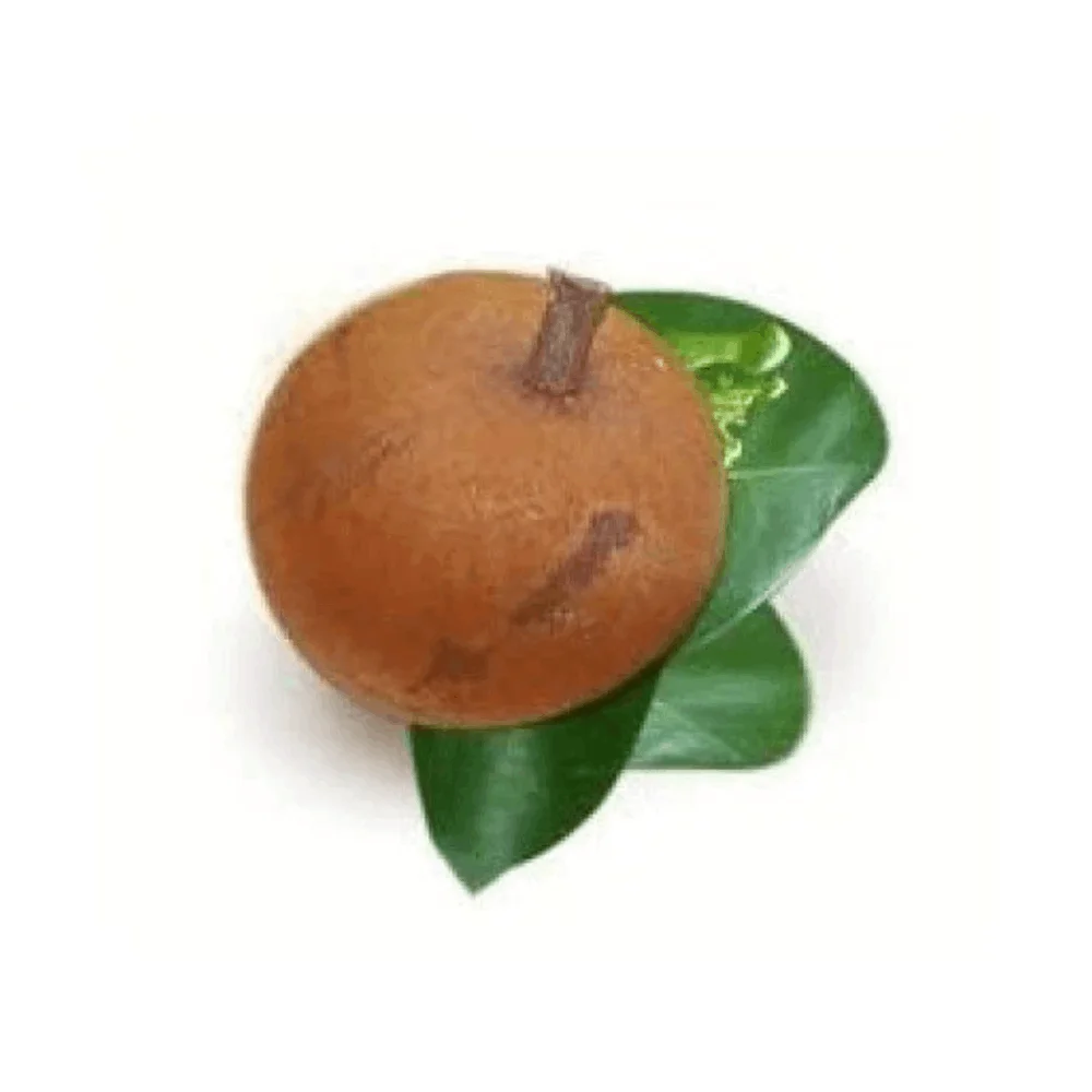 Private Label Oem / Odm Exporter of Low Price Sale Chaulmogra Oil From Indian Supplier