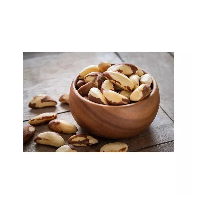 Top Grade Wholesale Brazil Nuts For Sale In Cheap Price