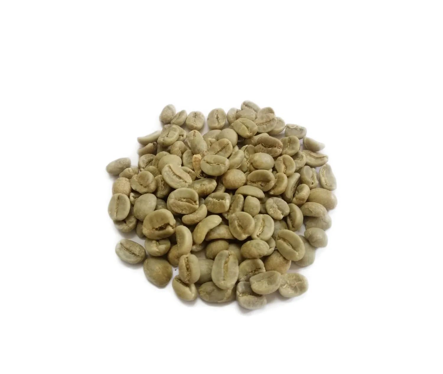 Export Quality Coffee Beans 100% Maturity Jute Bag 24 Months Shelf Life Vietnam Robusta Coffee Green Beans
