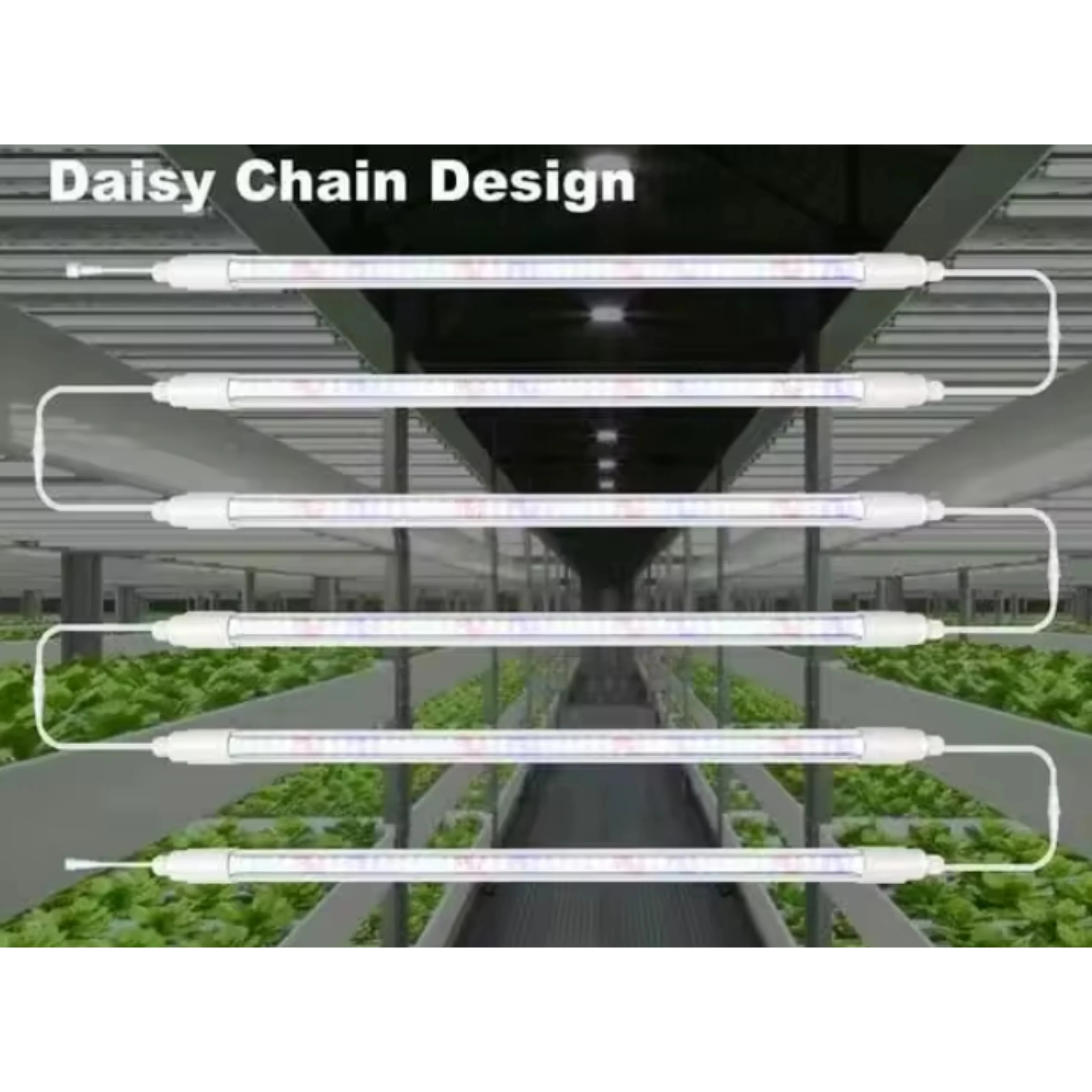 Latest New White Sunlight Spectrum 18w 20w 24w High PPFD LED Grow Tube Lights for lettuce growing in Hydroponics