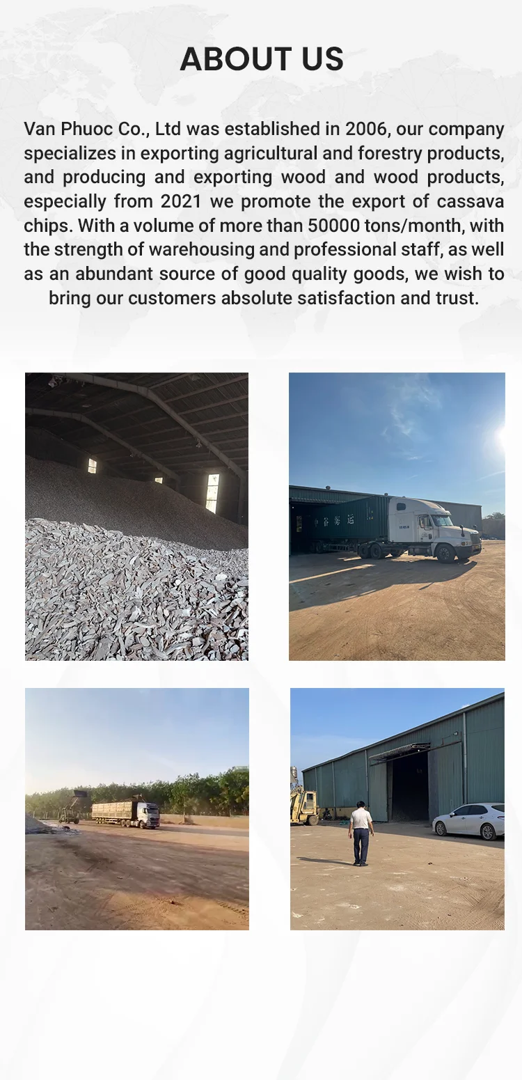 Natural Cheap Dried Cassava /Raw Dry Cassava (Material for Starch) Export quality wholesale from Vietnam