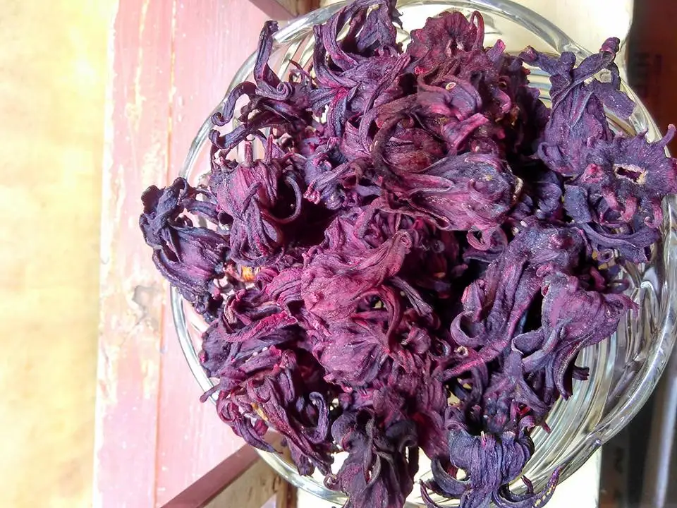 HERBAL TEA FROM DRIED FLOWERS - HIBISCUS FLOWER FROM DIRECT SUPPLIER WITH HIGH QUALITY