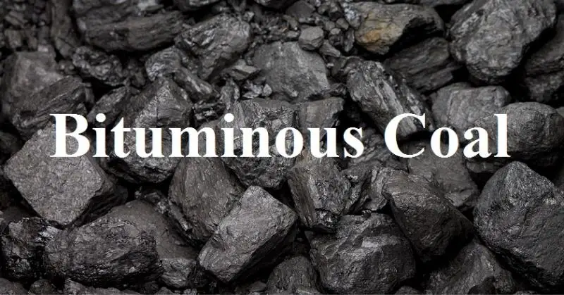 Factory wholesale Best Price Bituminous Coal