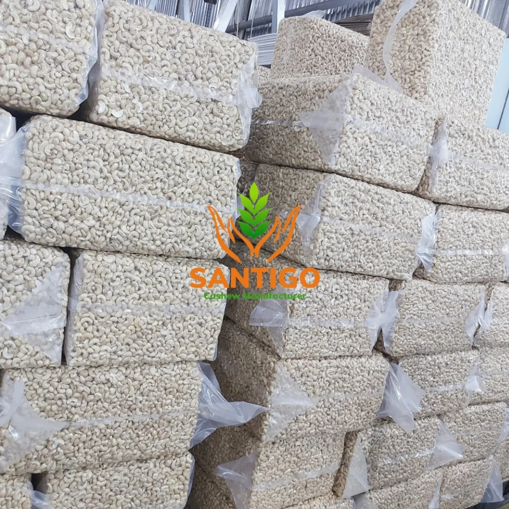 Hot Sale Vietnam Cashew Nut Raw Cashew Nuts Cashew Nuts W320, W240, W180, SK, LP2, LWP Reasonable Price