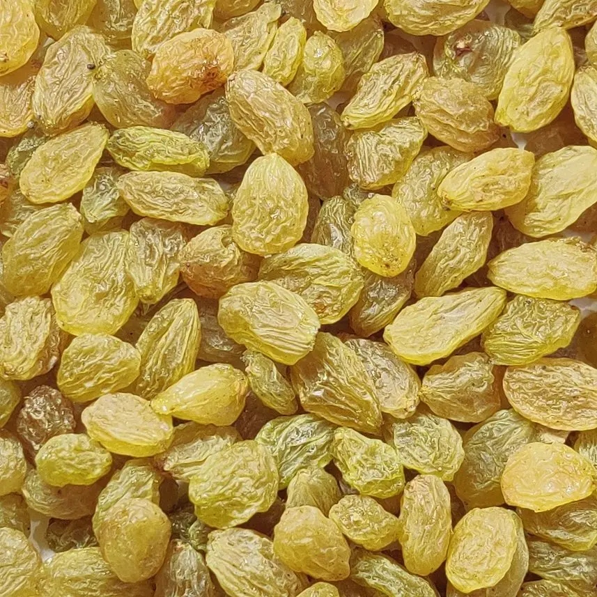 Hot Selling Cheap Green Raisins Dry Fruit Supplier From India
