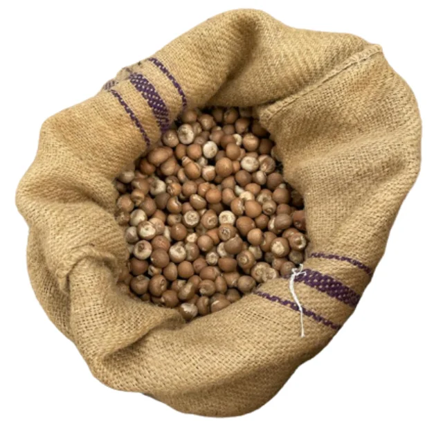Best Quality Areca Nuts Wholesale Dried Betel Nuts From Indonesia Betel Nuts Packaging Burlap Sack Best Prices For Export