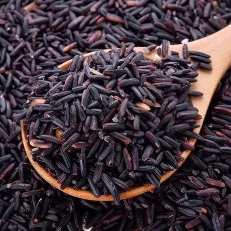 Wholesale Black Rice From Viet Nam New Crop Ready To Export Viet Nam Food Rich Nutrition Organic Rice