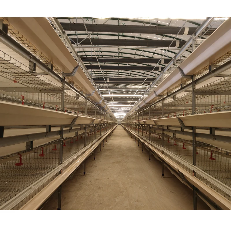 Fully Automatic Poultry Breeding Equipment Chicken Farm Cage Broiler Farm Equipment Broiler Chicken Cage