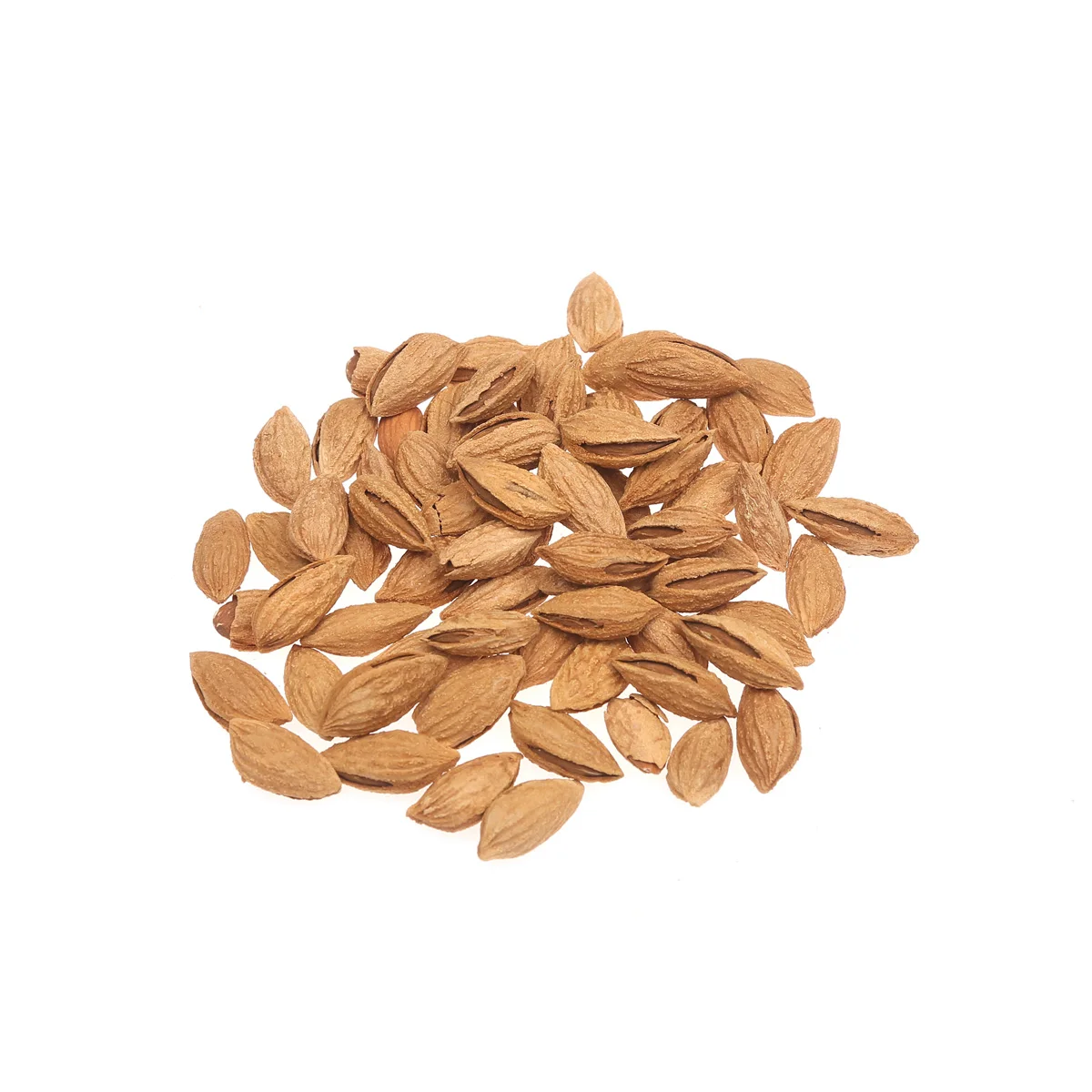 Wholesale almond high product quality ideal for use as a snack good for the nervous system and brain