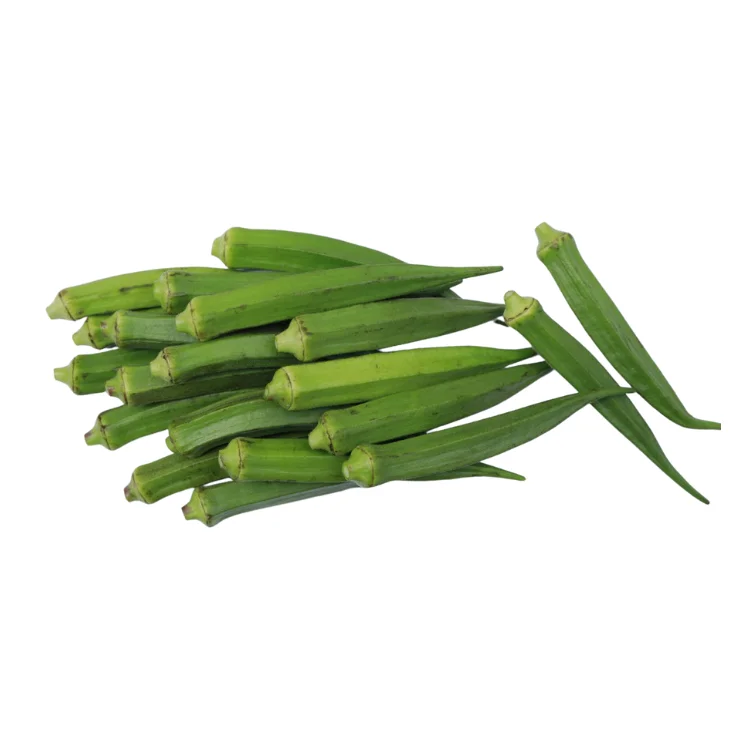 fresh okra OEM new crop using for many purposes TCVN packing in carton Made in Vietnam Manufacturer