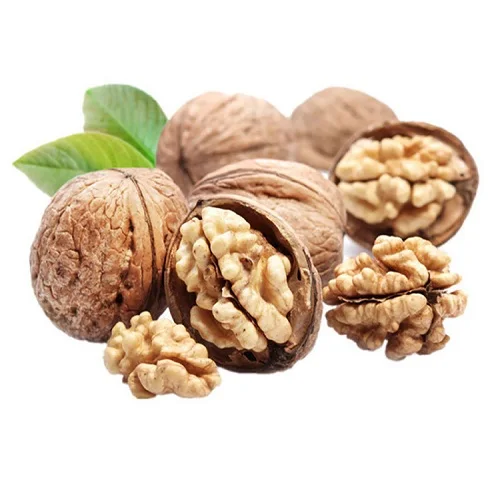cheap walnuts walnut  for sale
