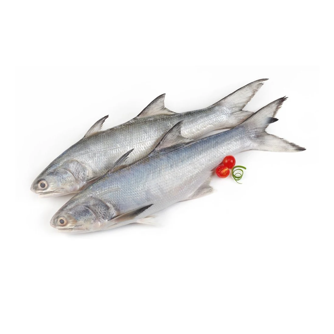 Fresh Fish / From Norway - 100% Export Quality Fish salmon fish wholesale salmon fish (seafood) Best price offer For Sale