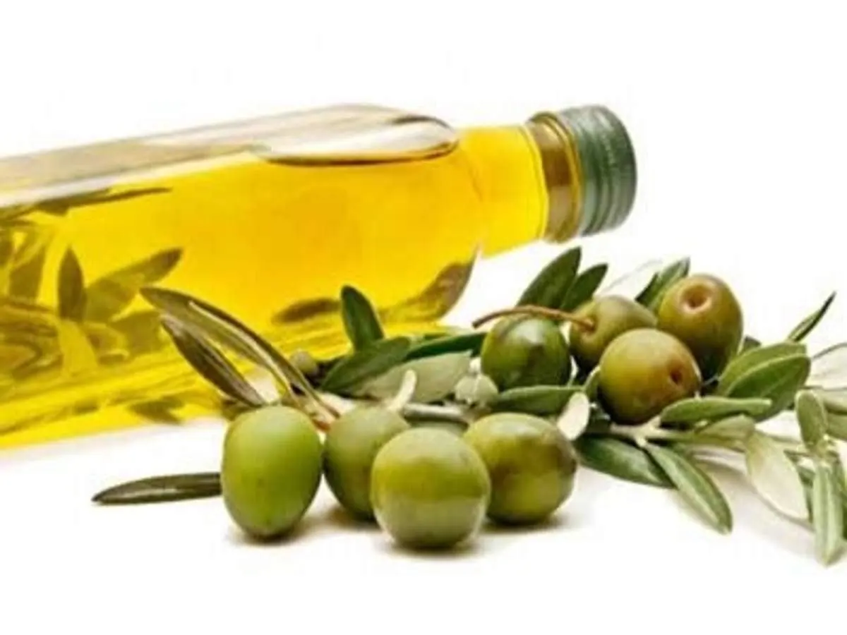 Premium Quality Extra virgin olive oil 100% 500ml bottle cold pressed best choice