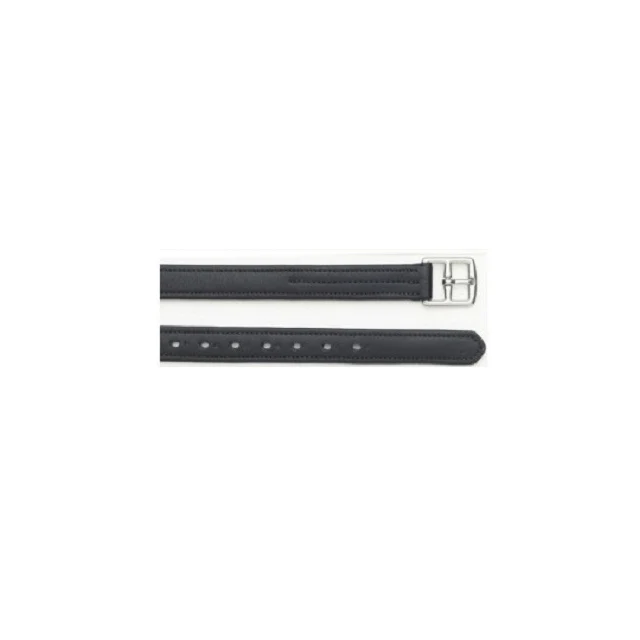 Crystal Stirrup Leathers Iron Stirrups