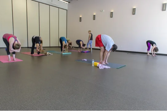 Heterogeneous Vinyl Sheet High Quality PVC Vulcanized Composition Rubber Backing Fusion Contemporaneous Style Comfort Underfoot