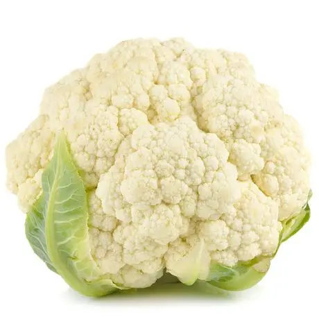 Fresh vegetable cauliflower and frozen cauliflower fresh cauliflower