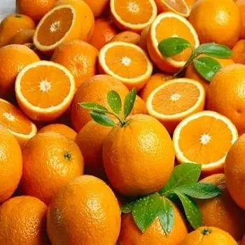 new crop good quality Fresh citrus fruit orange Summer Valencia oranges navel oranges