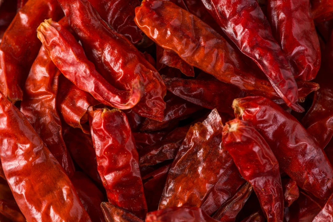Top Selling Natural Dried Red Chilli Food Grade Hot Spicy Single Spices Whole Red Chilli Buy From Indian Manufacturer