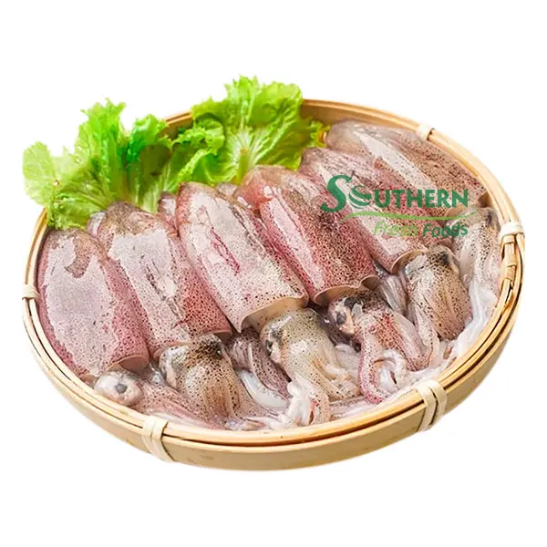 Supplier nature High content squid Frozen feature calamari Calamari Loligo Squid Wild Caught SFF from Vietnam