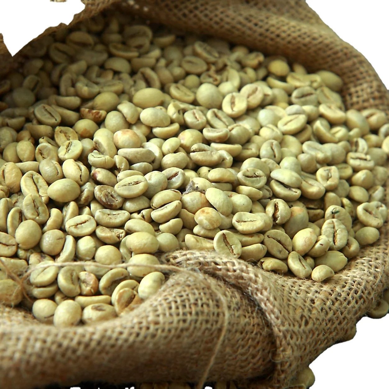 Good Price Coffee seeds High quality Coffee seeds For Sale