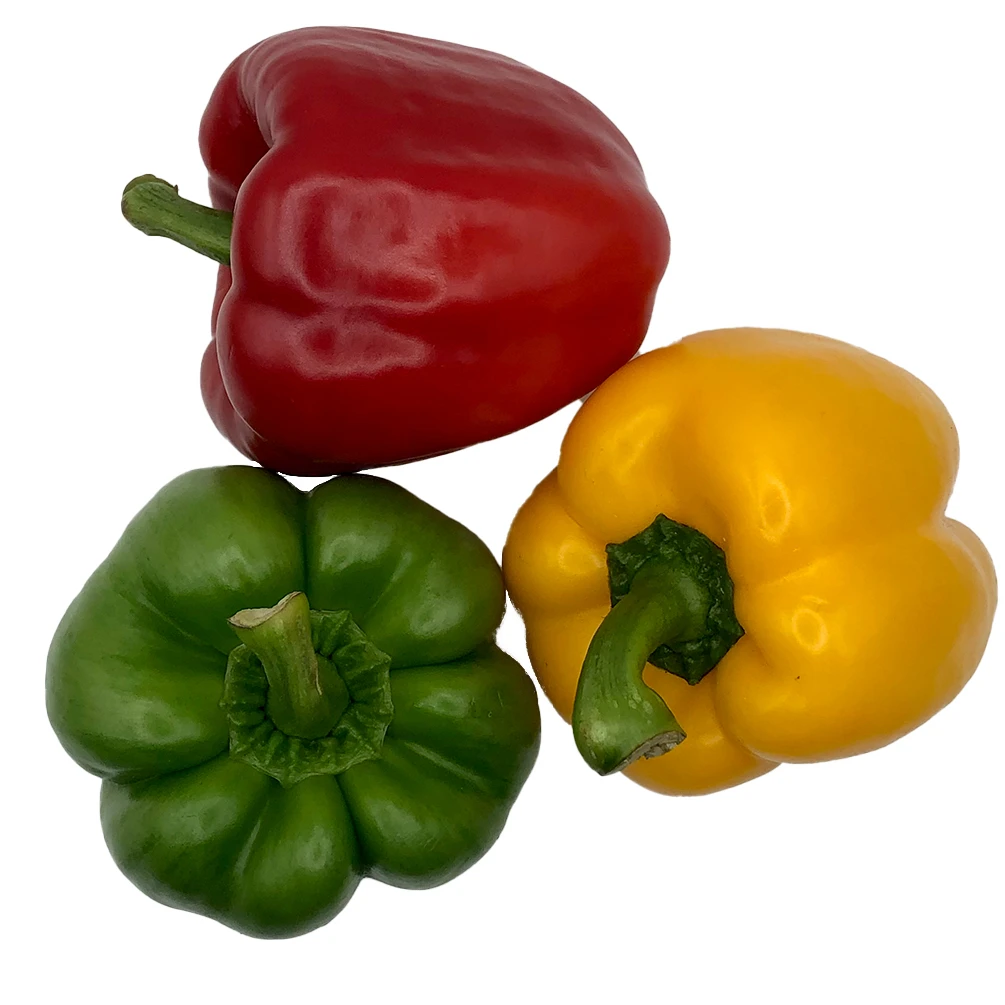 100% Fresh & Natural Color Capsicum Fresh Exotic Vegetables Bell Peppers