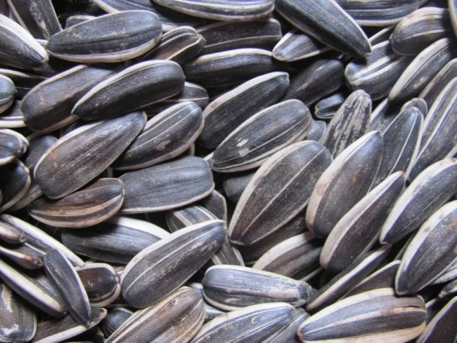 Ready to Ship Good Quality Hot Sale Sunflower Seeds Made In Viet Nam