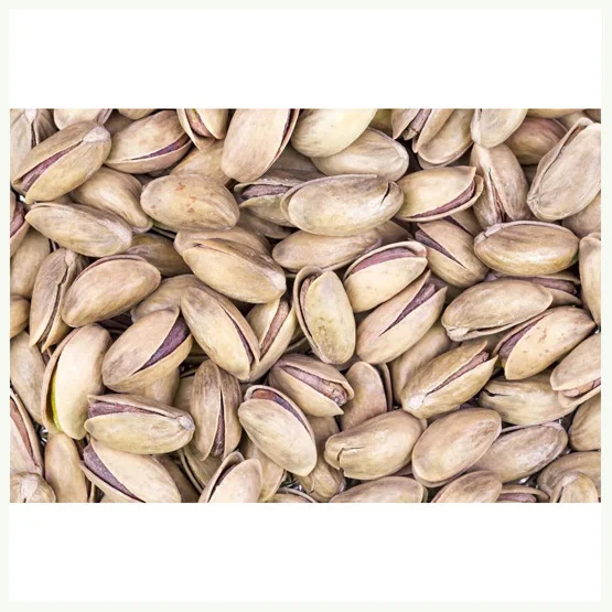 Hot Sale Pistachio Nuts with and without Shell Pistachios Roasted and Salted Bulk Cheap Price Pistachio Nuts Kernels