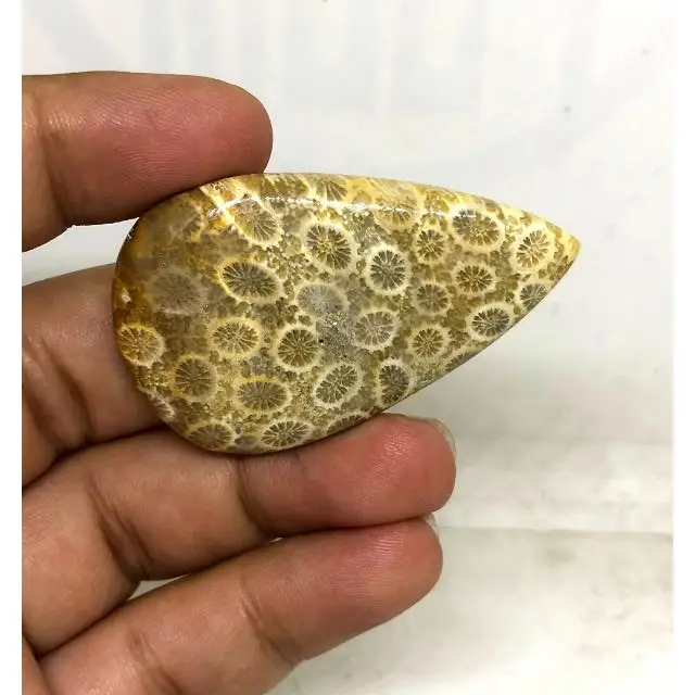 Best Beautiful 100%Natural  Wholesale Cabochon Loose Gemstone Cabochon Fossilized Coral Gemstone for Jewelry Making luxury stone