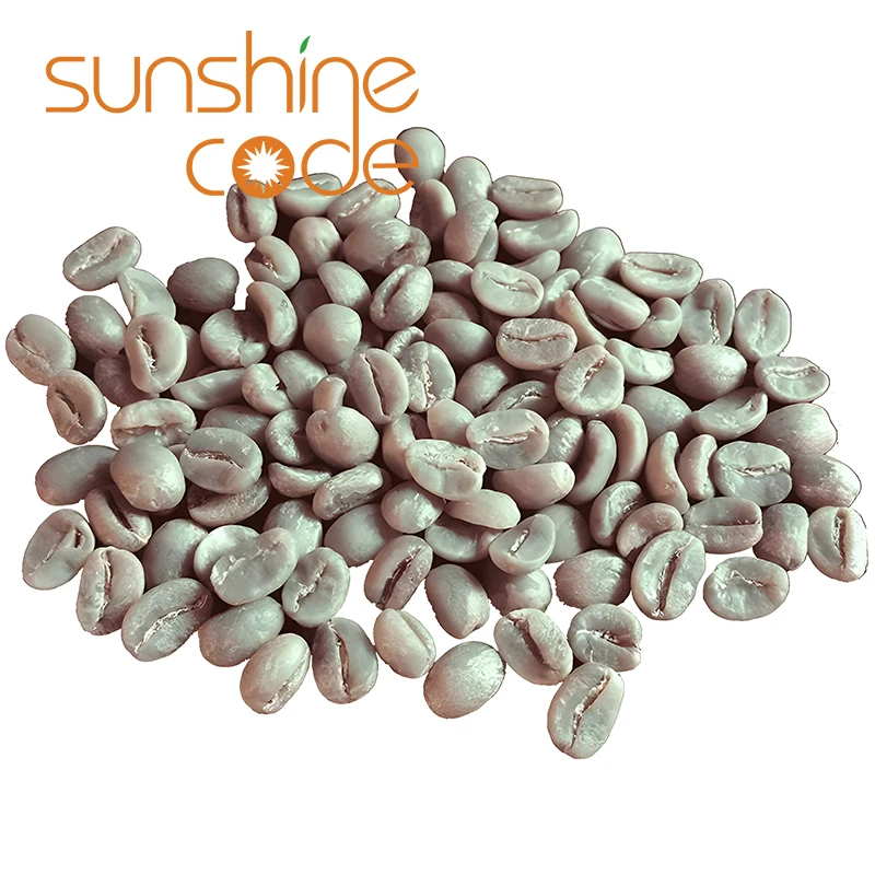 Sunshine Code Coffee Green Beans Arabica Raw Beans Price 60Kg Green Coffee Import With Free Sample