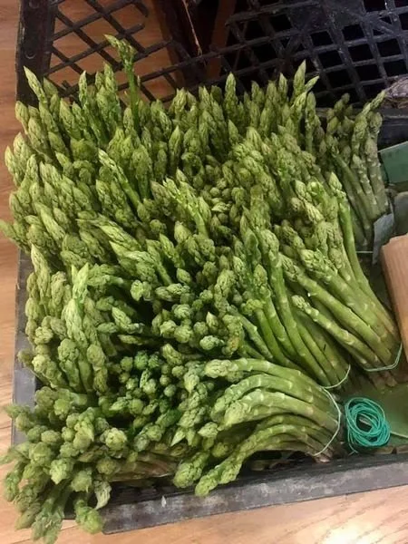 100% FRESH ASPARAGUS SUPER HIGH STANDARD WITH COMPETITIVE PRICE FROM VIETNAM 2023