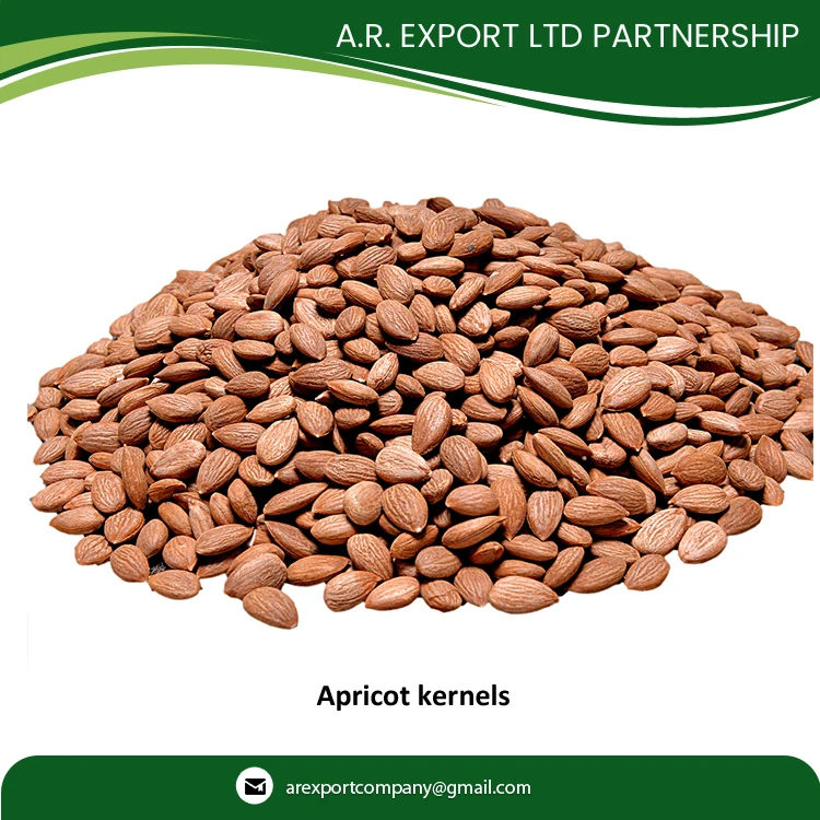 Сертифицированное качество оптовая продажа сушеные ядра абрикоса по лучшей цене доступны в экспортной качественной